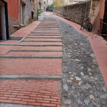 Degli Angeli * Janov
